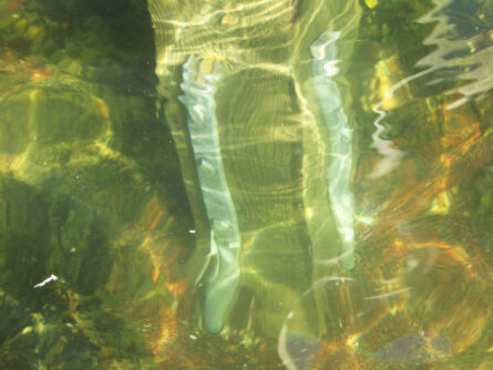 detalj_stolp-bergten